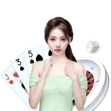 模拟体验说明
